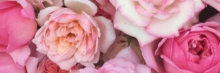 albeaman's profile banner image