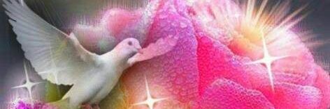 michstar7's profile banner image