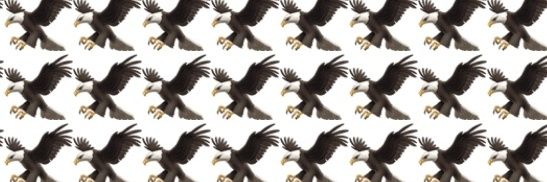 ZB_Shanding's profile banner image