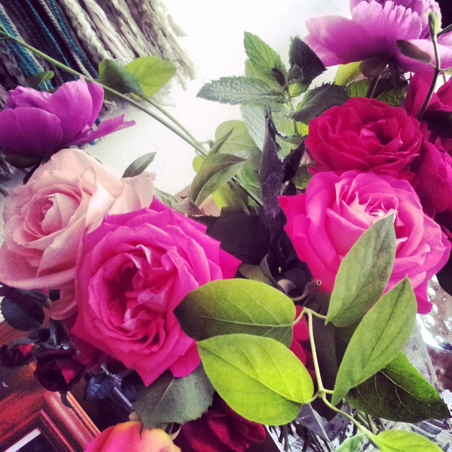 Ines_Capablo's profile banner image