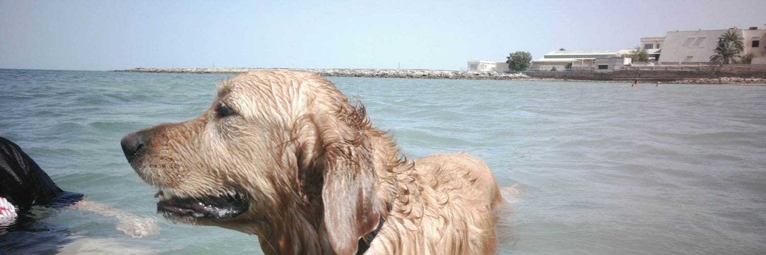 danahkayy's profile banner image