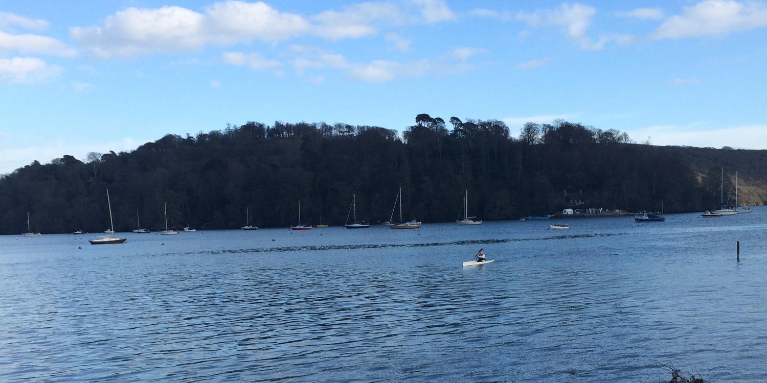 Charlotte Skitterall banner