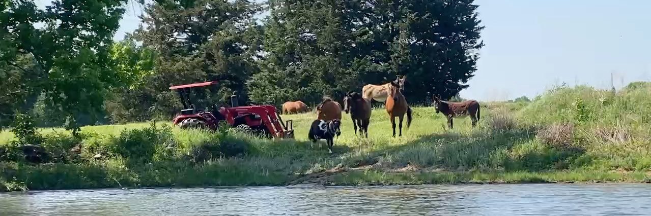 RosmanRanch's profile banner image