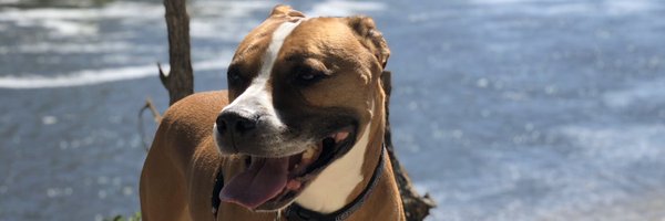 RamieIsTweeting Profile Banner