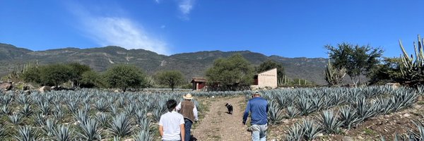 Chava Profile Banner