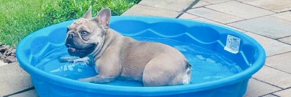 RedBackpack83 Profile Banner