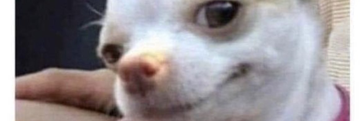 bcoomz_'s profile banner image