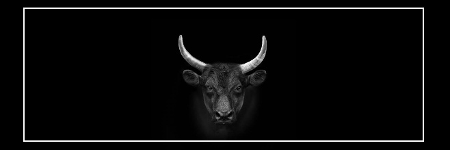 Daviddbim's profile banner image