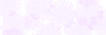 SARARANN1202's profile banner image