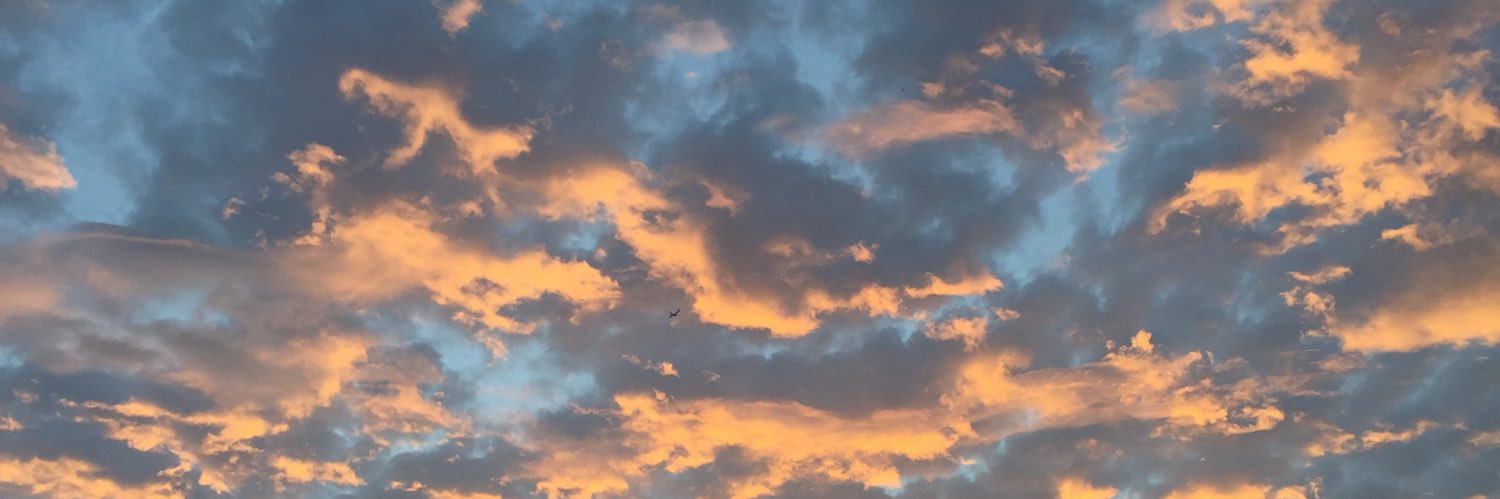 leegtweets's profile banner image