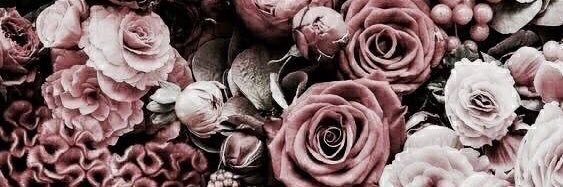 miriam_pradas's profile banner image