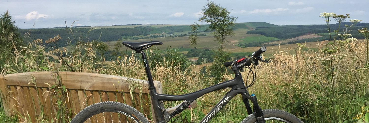 Andywastri's profile banner image