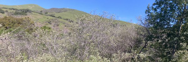 shaldore Profile Banner