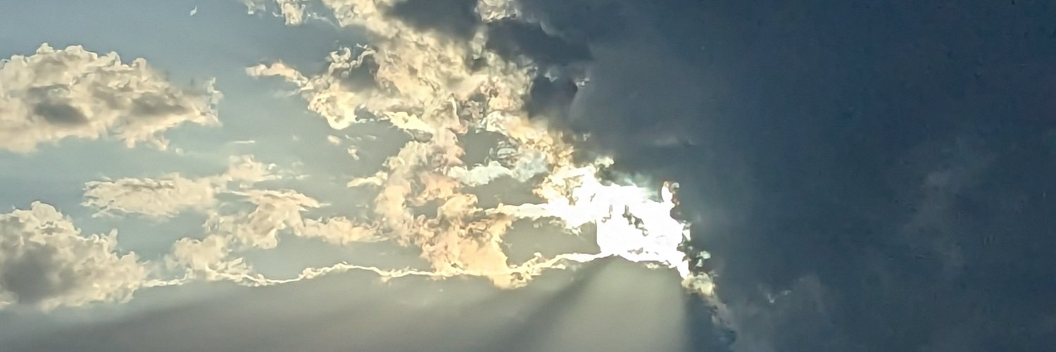 Nancy Biddinger banner