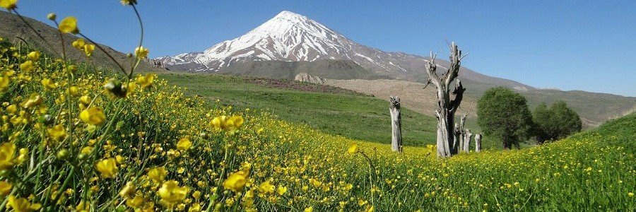 Iran1vatan's profile banner image
