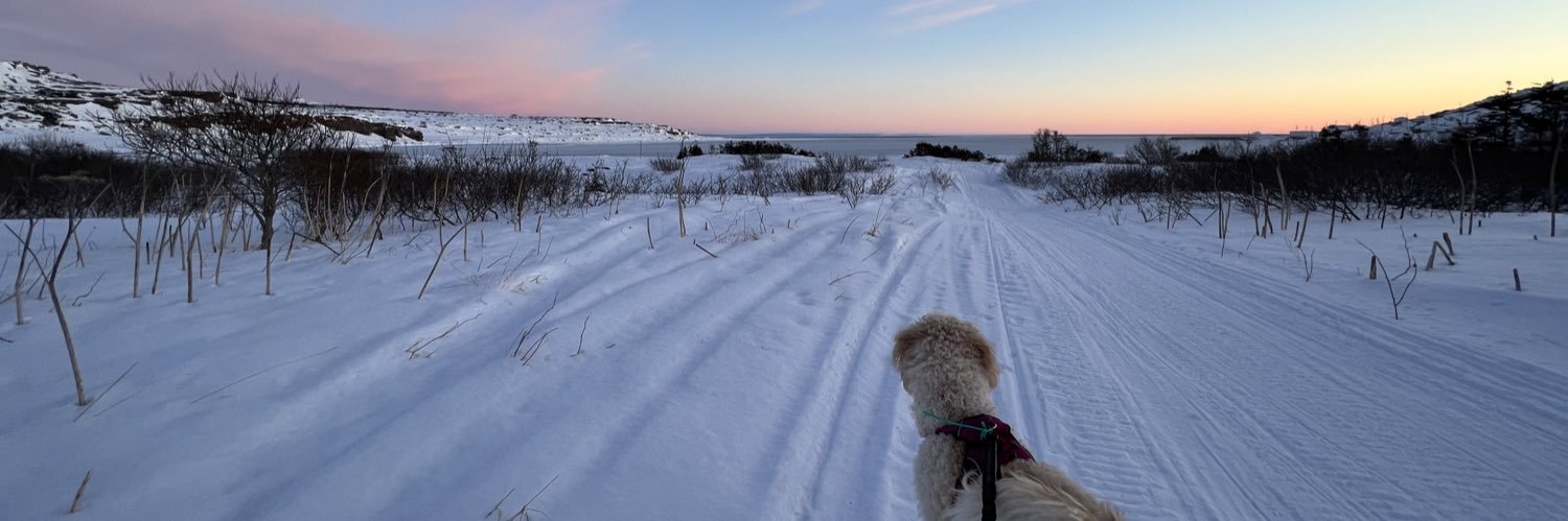 stephrn6's profile banner image
