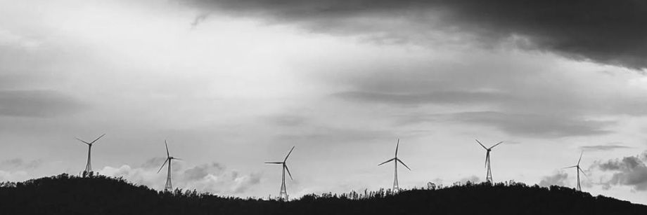 Harshikaa Satya banner