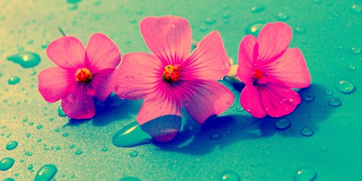 LauraSarmient18's profile banner image