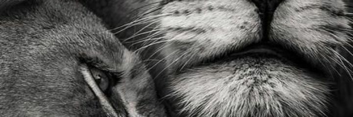 aina__MG's profile banner image