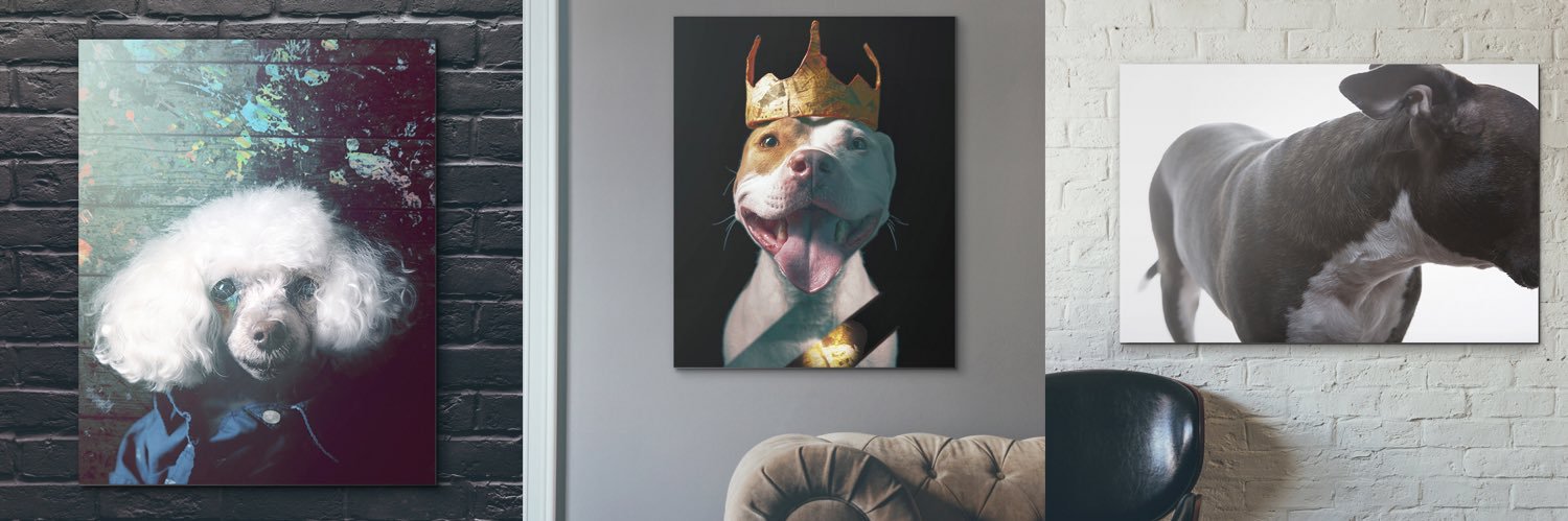 Puptrait's profile banner image