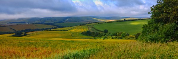 MsEmmaChaplin Profile Banner