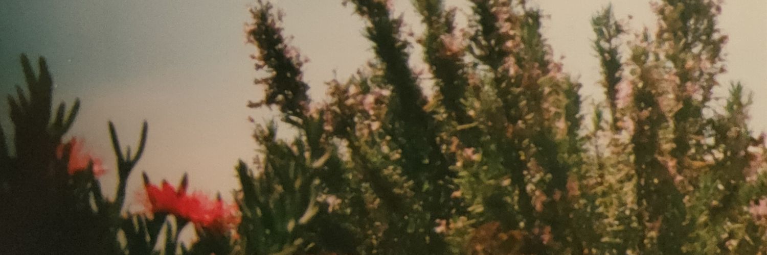rufirulis's profile banner image