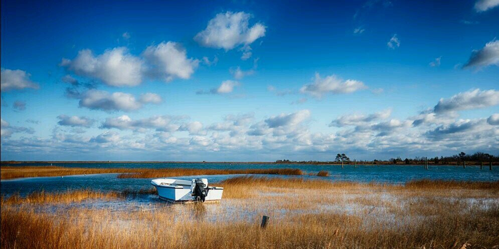 DavidMorelPhoto's profile banner image