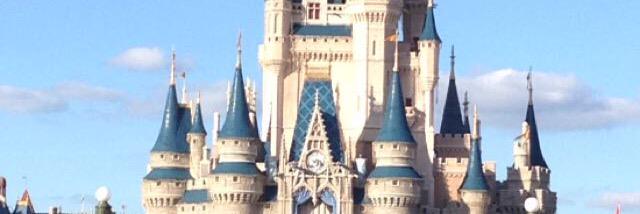 Sierra A Cook banner