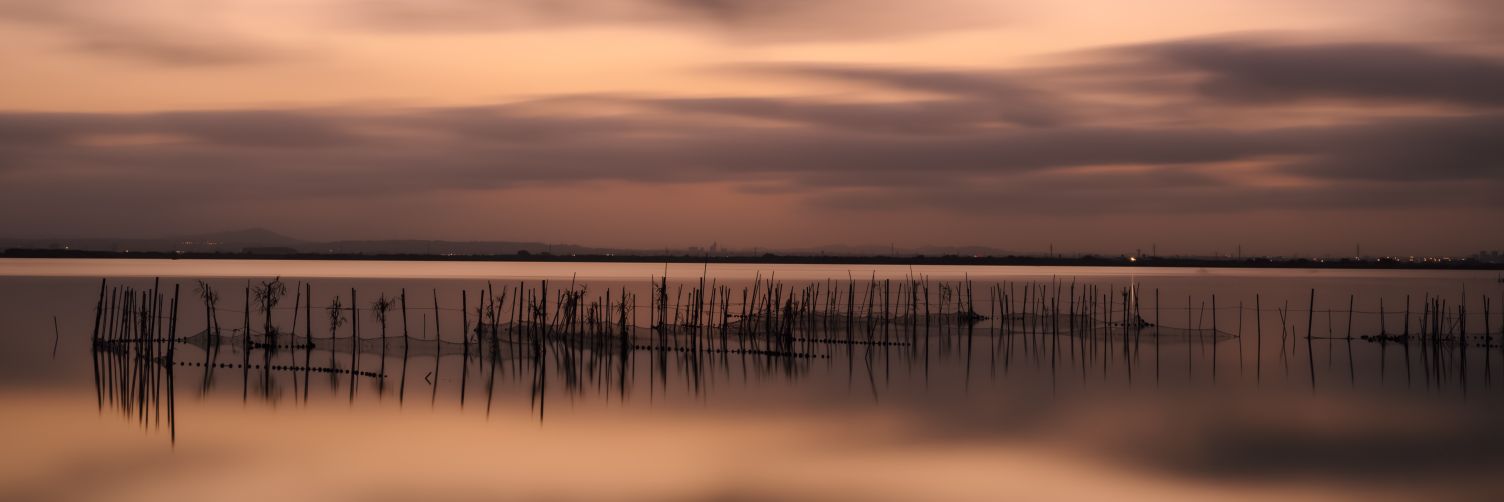 jmp794's profile banner image