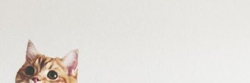 strkst's profile banner image