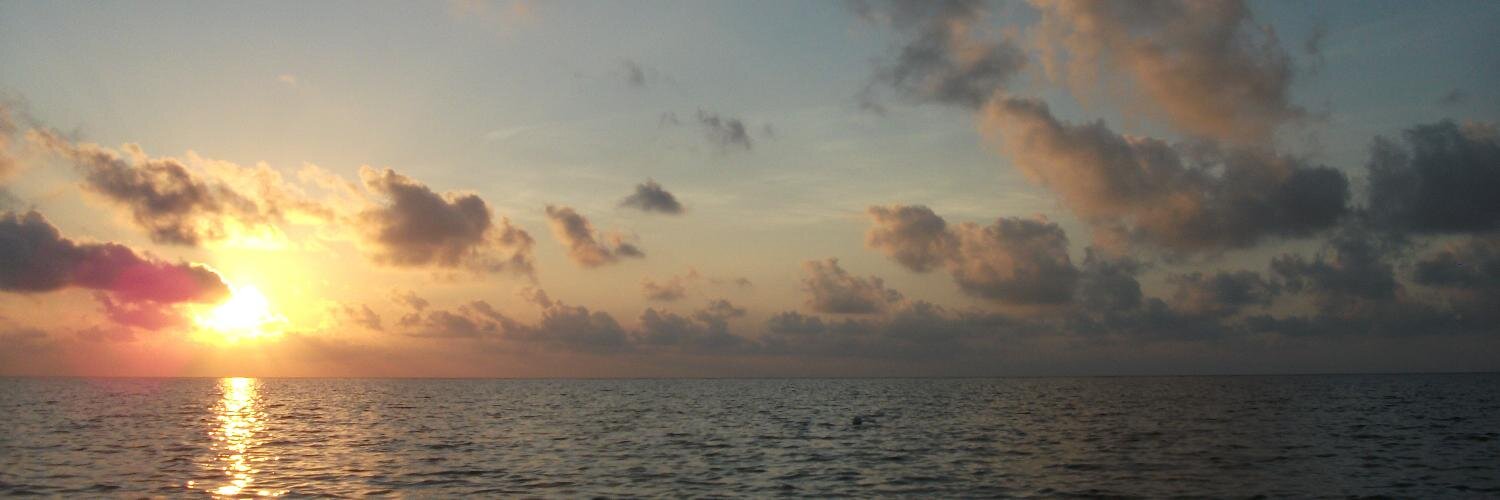 AvietteBates's profile banner image