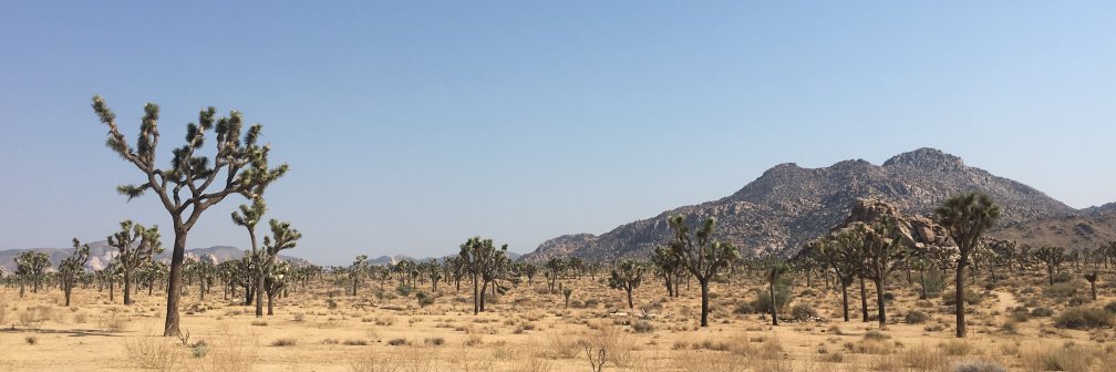 TheDrBruce's profile banner image