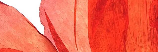 mscamilleliu's profile banner image