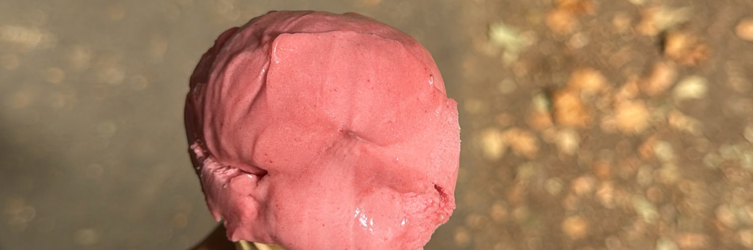 shane brassington banner