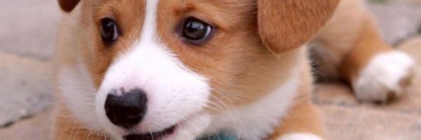 likeloverlikeme's profile banner image