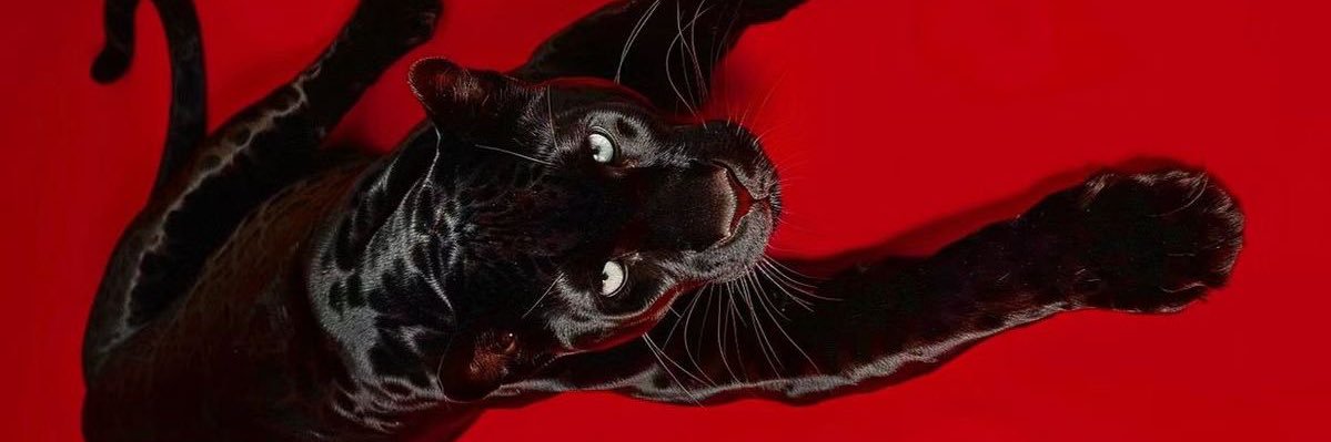 ehzabele's profile banner image