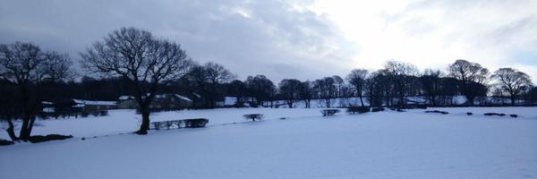 Ocenbe Profile Banner