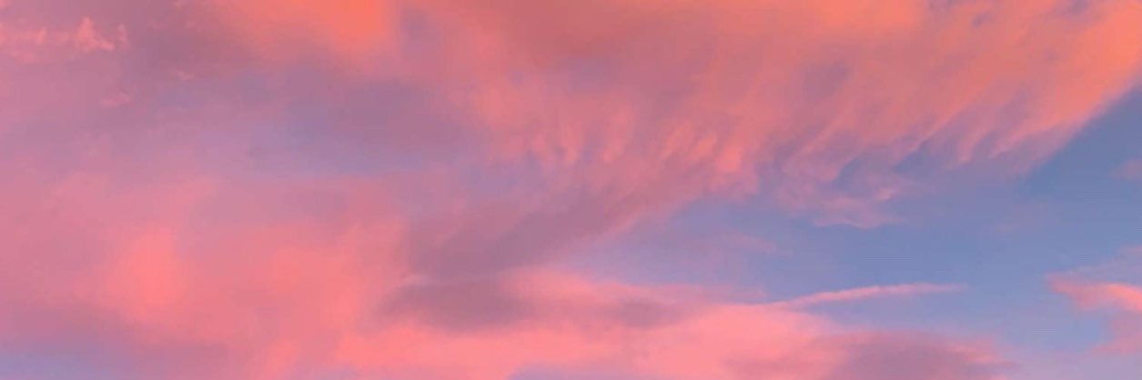 princessnickimc's profile banner image