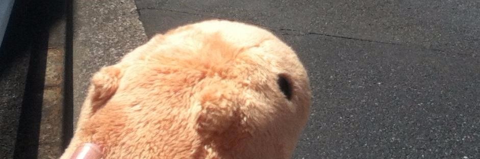 Maejima' Gammer's TV ,American Beauty office Lady. banner