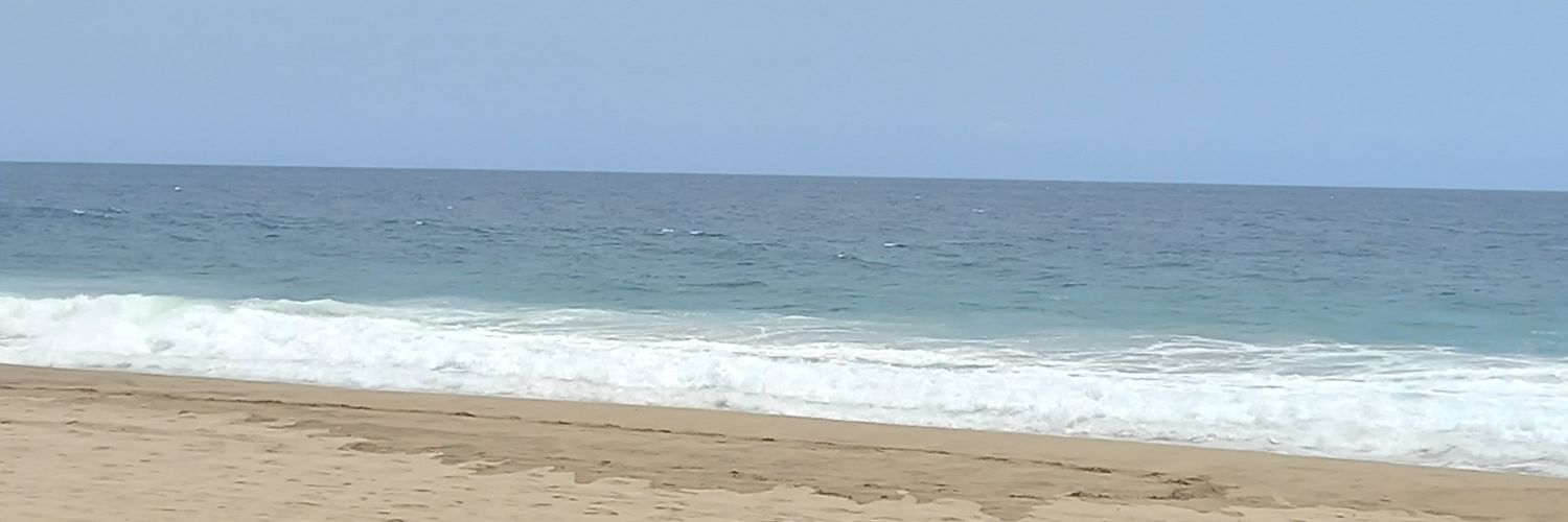 rolmidomain's profile banner image
