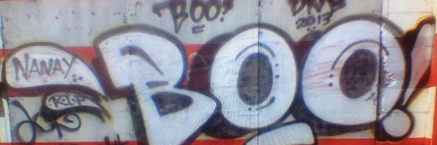 Mark Adams (BOO) banner