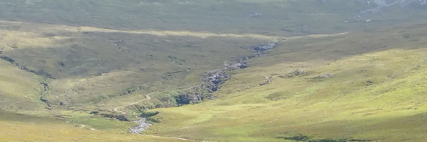 EvilMcManus's profile banner image