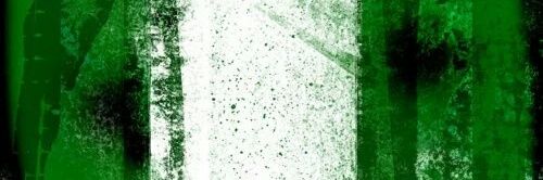 aduaritekena's profile banner image