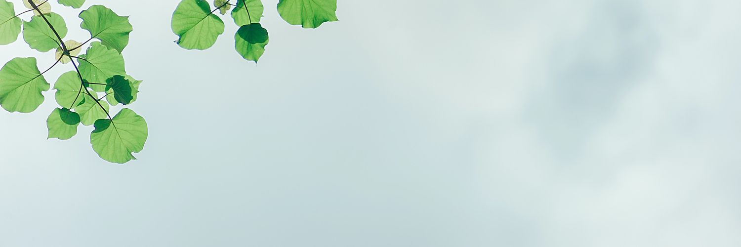 rizqdidi's profile banner image