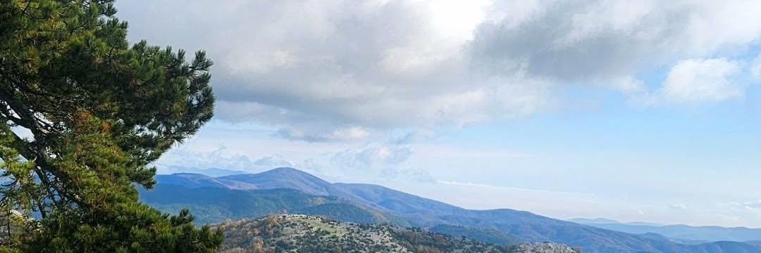 sergincan's profile banner image
