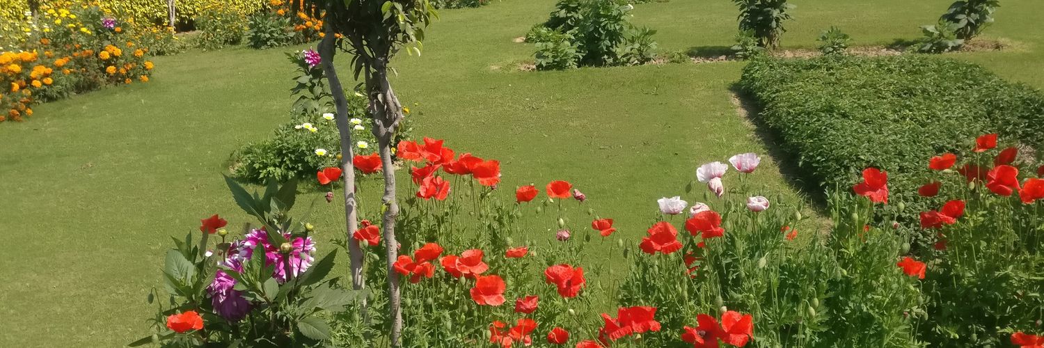 SaurabhW83's profile banner image