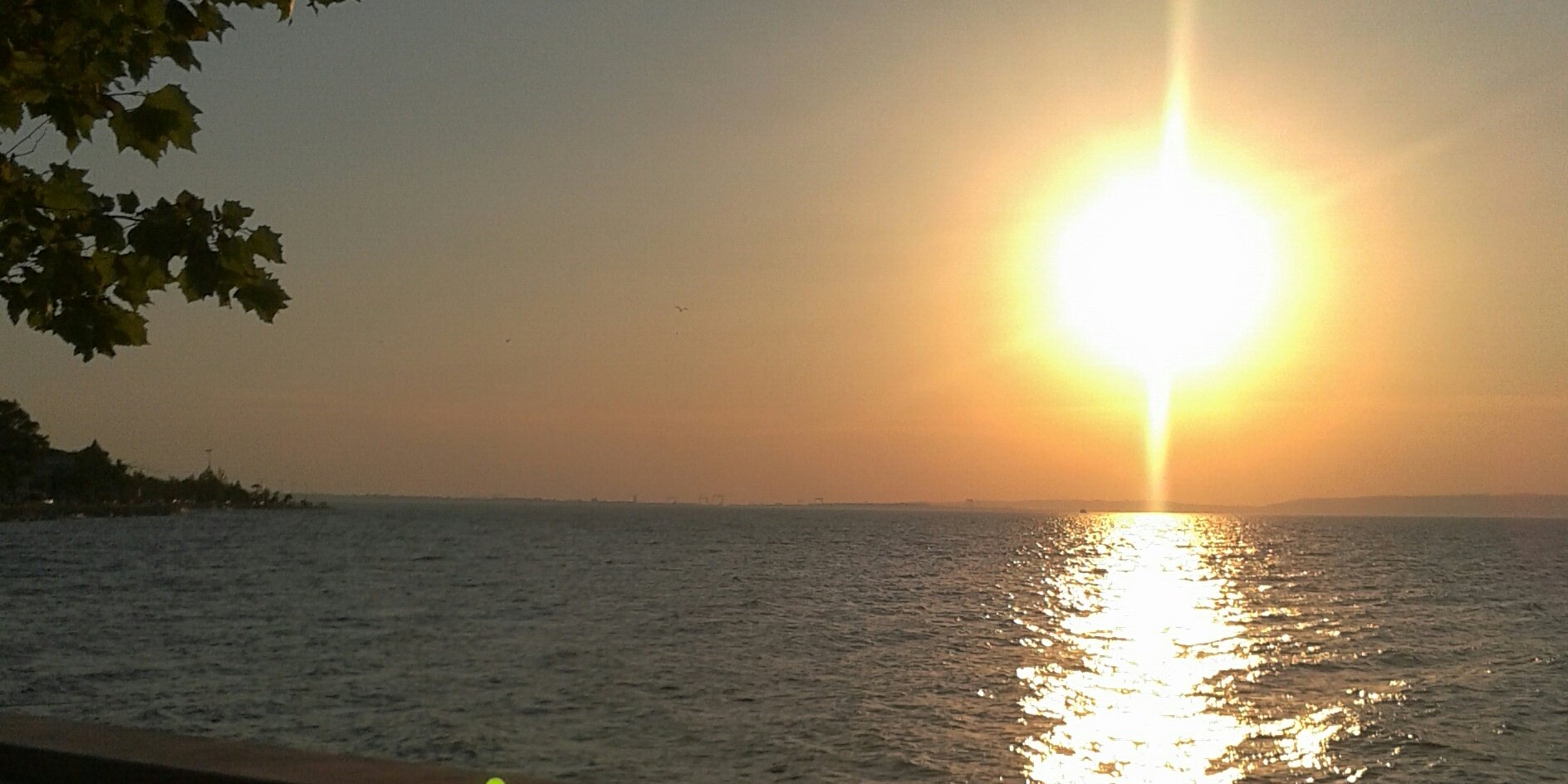 omorfo_paci's profile banner image