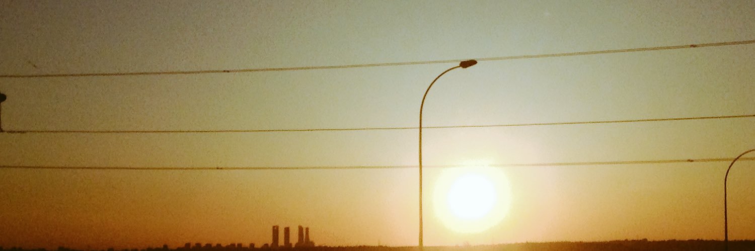 _bichillo's profile banner image