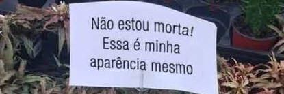 io da silva banner