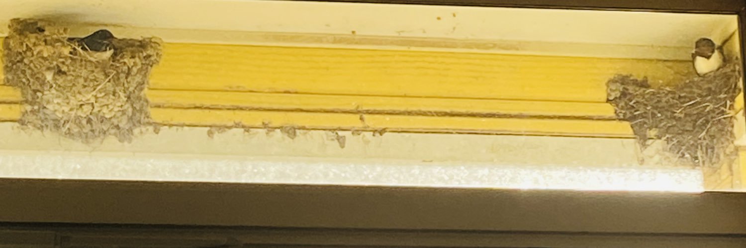 すぐる banner